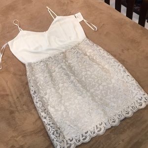 White dress with silver lace!
